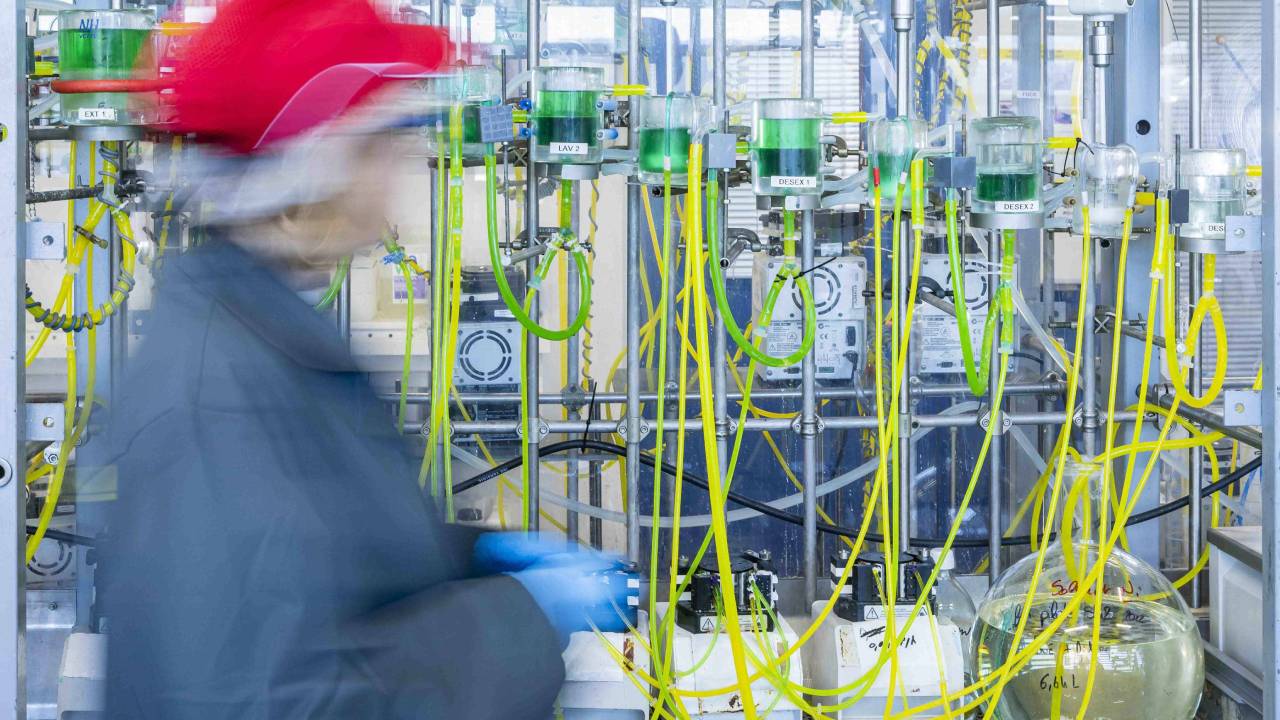 Stellantis’ten elektrikli geleceğe önemli yatırım