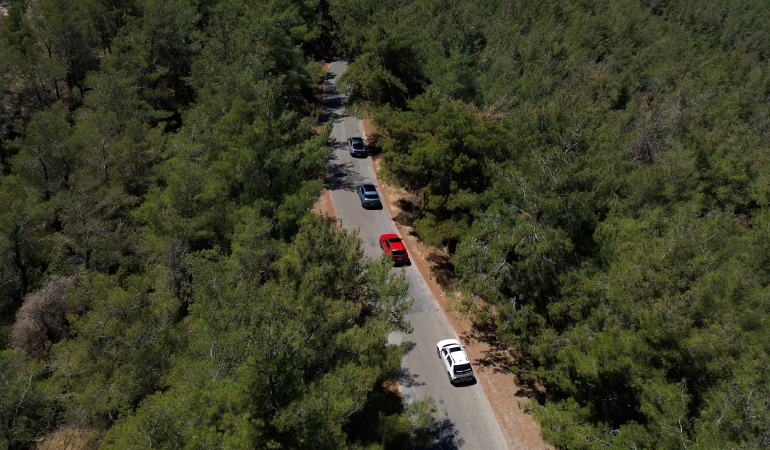 Hyundai, IONIQ Ormanı Projesi ile 1 Milyon Ağaç Dikti