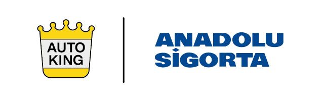 Auto King Anadolu Sigorta Mini Onarımda Tek Çözüm Ortağı Oldu